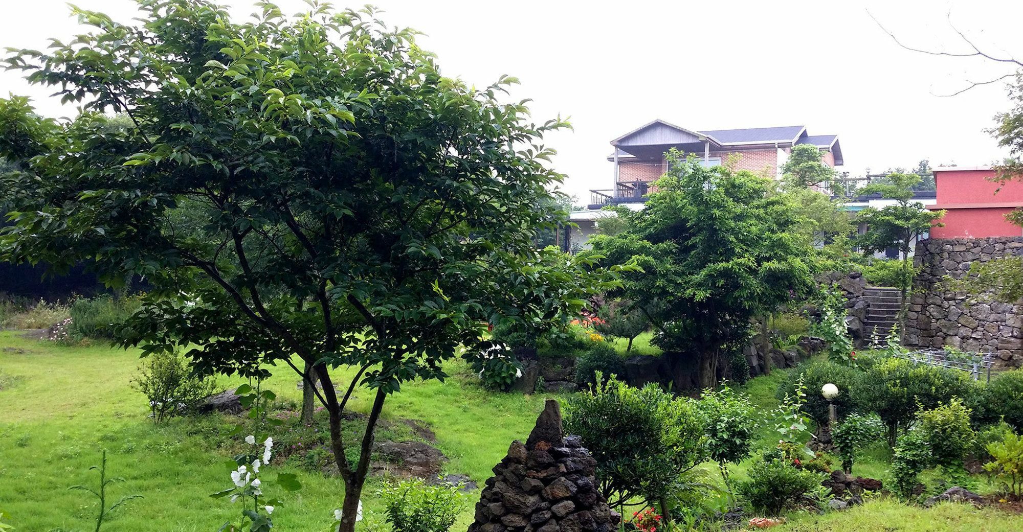 Gotjawal Geomunoreum Pension Jeju Ngoại thất bức ảnh
